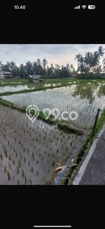 Vila di Ubud, Luas 1800m2m², Lokasi Potensial untuk usaha Vila di Ubud, Luas 1800m2m², Lokasi Potensial untuk usaha
