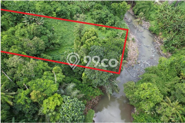 Dijual Tanah Lokasi Buwit, Tabanan Seluas 5000m2 Dijual Tanah Lokasi Buwit, Tabanan Seluas 5000m2