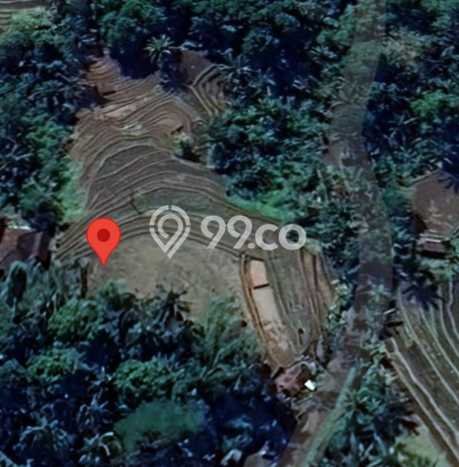 Kavling Tanah untuk Dijual di Pupuansawah, Tabanan, Luas 2820m2 Kavling Tanah untuk Dijual di Pupuansawah, Tabanan, Luas 2820m2