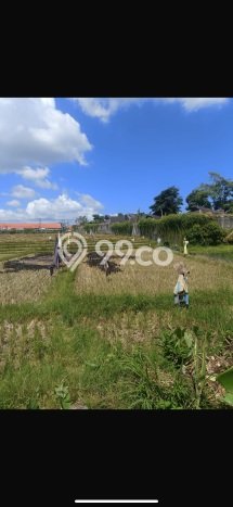 Jual Tanah di Umalas, Luas 1276m², Lingkungan Asri Jual Tanah di Umalas, Luas 1276m², Lingkungan Asri
