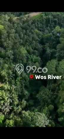Tanah Strategis Dijual di Ubud Gianyar 18800m2 Tanah Strategis Dijual di Ubud Gianyar 18800m2