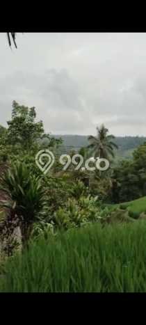 Kavling Tanah untuk Dijual di Pupuansawah, Tabanan, Luas 2820m2 Kavling Tanah untuk Dijual di Pupuansawah, Tabanan, Luas 2820m2