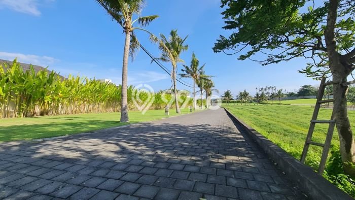 Tanah Kavling Dijual di Ketewel, Gianyar dengan Luas Tanah 8816m2 Tanah Kavling Dijual di Ketewel, Gianyar dengan Luas Tanah 8816m2