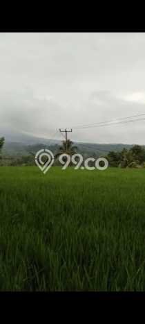 Kavling Tanah untuk Dijual di Pupuansawah, Tabanan, Luas 2820m2 Kavling Tanah untuk Dijual di Pupuansawah, Tabanan, Luas 2820m2
