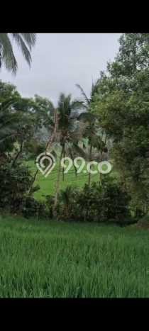 Kavling Tanah untuk Dijual di Pupuansawah, Tabanan, Luas 2820m2 Kavling Tanah untuk Dijual di Pupuansawah, Tabanan, Luas 2820m2