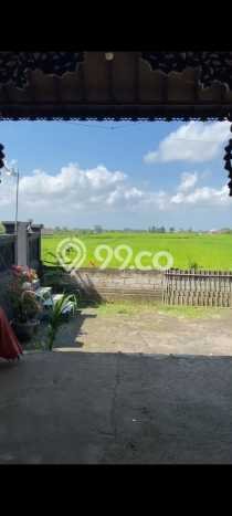 Rumah Modern Cantik 4 KT Siap Huni di Penebel Rumah Modern Cantik 4 KT Siap Huni di Penebel