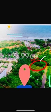 Jarang Ada! Tanah Kavling Disewakan di Badung 2000m2 Jarang Ada! Tanah Kavling Disewakan di Badung 2000m2