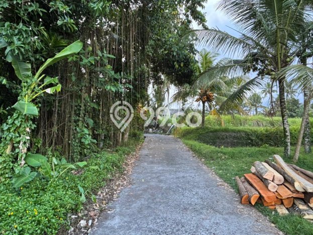 Dijual Tanah Lokasi Sanding, Gianyar Seluas 250m2 Dijual Tanah Lokasi Sanding, Gianyar Seluas 250m2