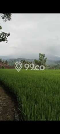 Kavling Tanah untuk Dijual di Pupuansawah, Tabanan, Luas 2820m2 Kavling Tanah untuk Dijual di Pupuansawah, Tabanan, Luas 2820m2