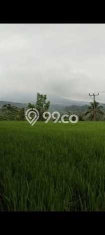 Kavling Tanah untuk Dijual di Pupuansawah, Tabanan, Luas 2820m2 Kavling Tanah untuk Dijual di Pupuansawah, Tabanan, Luas 2820m2