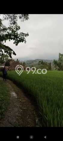 Kavling Tanah untuk Dijual di Pupuansawah, Tabanan, Luas 2820m2 Kavling Tanah untuk Dijual di Pupuansawah, Tabanan, Luas 2820m2