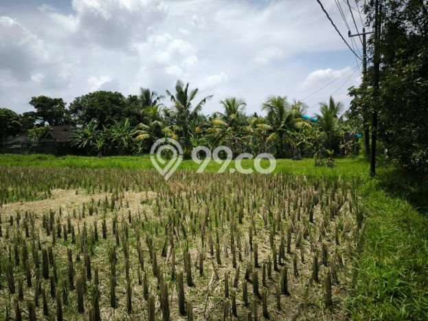 Tanah Dijual Lokasi Ubud, Gianyar dengan Luas Tanah 4050m2 dan Status SHM Tanah Dijual Lokasi Ubud, Gianyar dengan Luas Tanah 4050m2 dan Status SHM