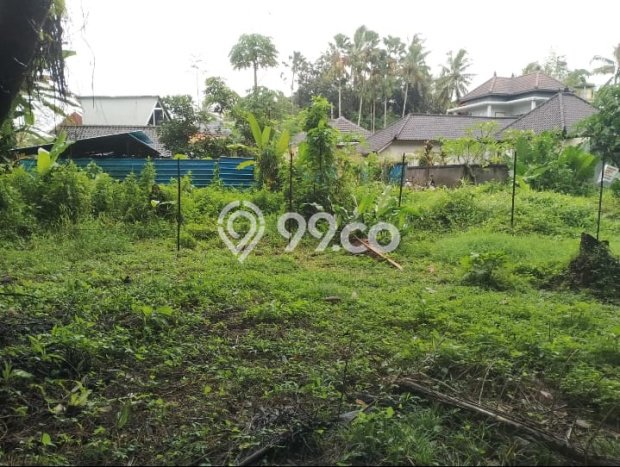 Kavling Tanah untuk Dijual di Singekerta, Gianyar, Luas 300m2 Kavling Tanah untuk Dijual di Singekerta, Gianyar, Luas 300m2