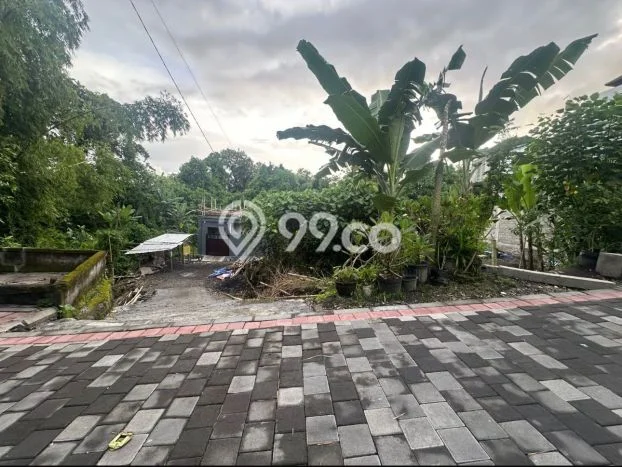Tanah Kavling Dijual di Badung dengan Spesifikasi 185m2 Tanah Kavling Dijual di Badung dengan Spesifikasi 185m2