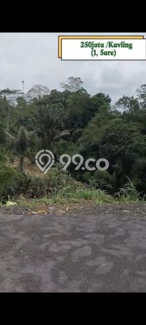 Lahan untuk Dijual di Kintamani Bangli Luas 150m2 Lahan untuk Dijual di Kintamani Bangli Luas 150m2