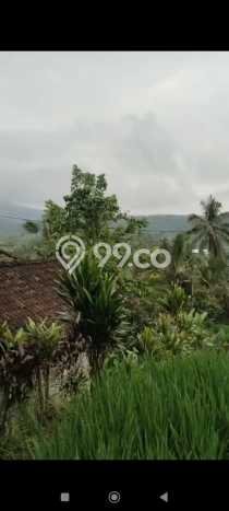 Kavling Tanah untuk Dijual di Pupuansawah, Tabanan, Luas 2820m2 Kavling Tanah untuk Dijual di Pupuansawah, Tabanan, Luas 2820m2