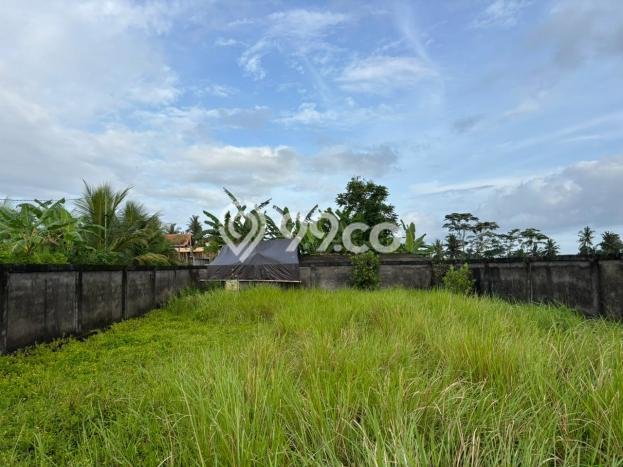 Tanah Dijual Lokasi Ubud, Gianyar Luas 400m2 Legalitas Aman Tanah Dijual Lokasi Ubud, Gianyar Luas 400m2 Legalitas Aman