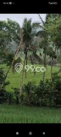 Kavling Tanah untuk Dijual di Pupuansawah, Tabanan, Luas 2820m2 Kavling Tanah untuk Dijual di Pupuansawah, Tabanan, Luas 2820m2