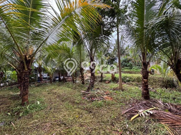 Tanah Investasi Dijual di Gianyar Punya Luas 407m2 Tanah Investasi Dijual di Gianyar Punya Luas 407m2