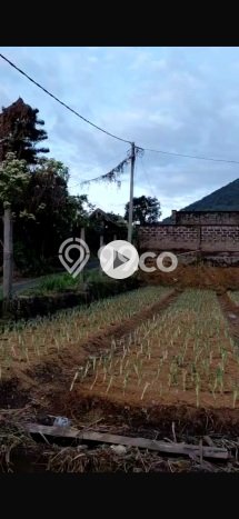Dijual Tanah Kawasan Bedugul, Luas 330m², Akses Strategis Dijual Tanah Kawasan Bedugul, Luas 330m², Akses Strategis