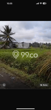 Kavling Tanah di Ubud Dijual Luas 1200m2 Legalitas SHM Kavling Tanah di Ubud Dijual Luas 1200m2 Legalitas SHM