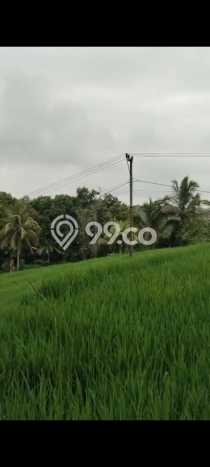 Kavling Tanah untuk Dijual di Pupuansawah, Tabanan, Luas 2820m2 Kavling Tanah untuk Dijual di Pupuansawah, Tabanan, Luas 2820m2