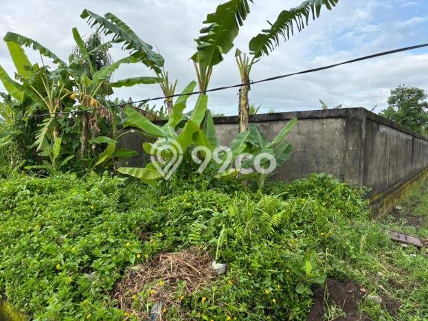 Tanah Dijual Lokasi Ubud, Gianyar Luas 400m2 Legalitas Aman Tanah Dijual Lokasi Ubud, Gianyar Luas 400m2 Legalitas Aman