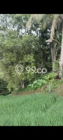 Kavling Tanah untuk Dijual di Pupuansawah, Tabanan, Luas 2820m2 Kavling Tanah untuk Dijual di Pupuansawah, Tabanan, Luas 2820m2