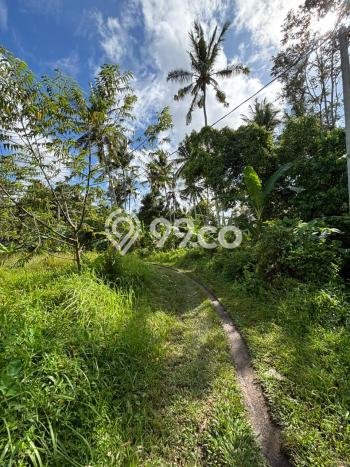 Lahan Dijual Lokasi Ubud, Gianyar dengan Luas Tanah 967m2 dan Status SHM Lahan Dijual Lokasi Ubud, Gianyar dengan Luas Tanah 967m2 dan Status SHM
