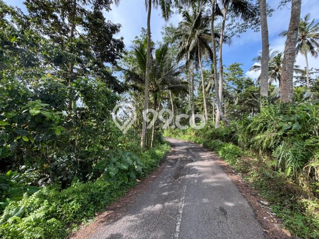 Tanah Dijual di Gianyar Seluas 983m2 Strategis Tanah Dijual di Gianyar Seluas 983m2 Strategis