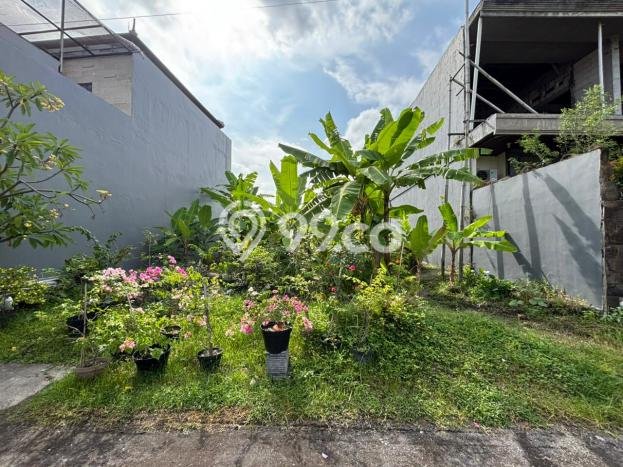 Tanah Dijual Lokasi Ubud, Gianyar Luas 154m2 Legalitas Aman Tanah Dijual Lokasi Ubud, Gianyar Luas 154m2 Legalitas Aman