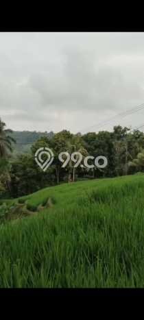 Kavling Tanah untuk Dijual di Pupuansawah, Tabanan, Luas 2820m2 Kavling Tanah untuk Dijual di Pupuansawah, Tabanan, Luas 2820m2