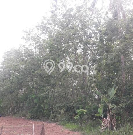 Tanah Dijual Lokasi Kalirejo, Lampung Tengah Luas 14833m2 Legalitas Aman Tanah Dijual Lokasi Kalirejo, Lampung Tengah Luas 14833m2 Legalitas Aman
