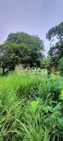 FOR SALE! Gudang di Pamulang Tangerang Selatan, LT 3864m2, LB 1000m2 FOR SALE! Gudang di Pamulang Tangerang Selatan, LT 3864m2, LB 1000m2