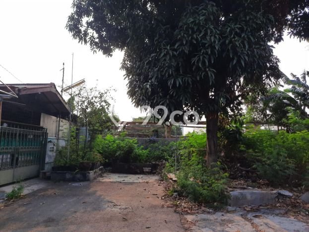 Rumah Modern 2 Kamar LT 160m2 di Kalideres Rumah Modern 2 Kamar LT 160m2 di Kalideres