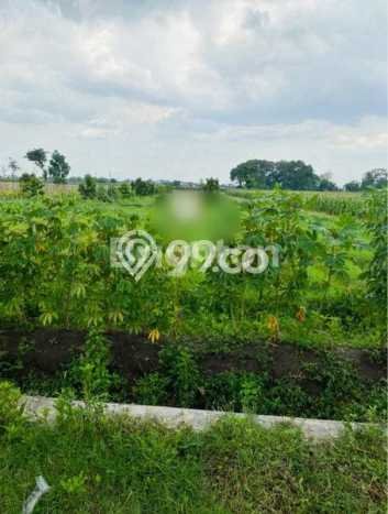 Tanah di Pare, Kediri Luas 3932m2 Dijual Segera Tanah di Pare, Kediri Luas 3932m2 Dijual Segera