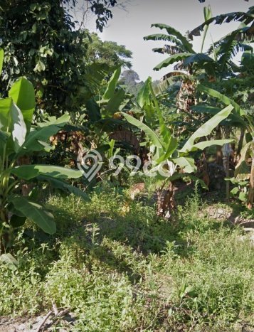 Tanah untuk Dijual Lokasi Tirtayasa, Serang Luas 1000m2 SHM Tanah untuk Dijual Lokasi Tirtayasa, Serang Luas 1000m2 SHM