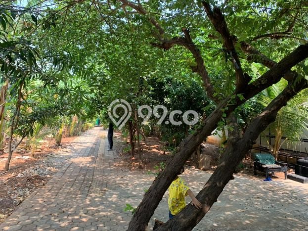 Lahan Kosong Dijual di Jakarta Utara dengan Area 4735m2 Lahan Kosong Dijual di Jakarta Utara dengan Area 4735m2