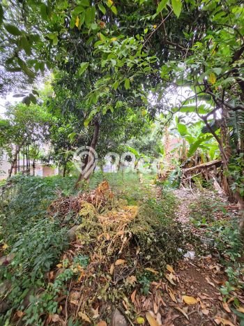 Tanah Dijual di Jakarta Timur Seluas 397m2 Strategis Tanah Dijual di Jakarta Timur Seluas 397m2 Strategis