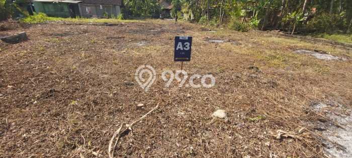 Tanah 1 Jutaan Wates Tepi Jalan Gotakan Cocok Untuk Investasi Tanah 1 Jutaan Wates Tepi Jalan Gotakan Cocok Untuk Investasi