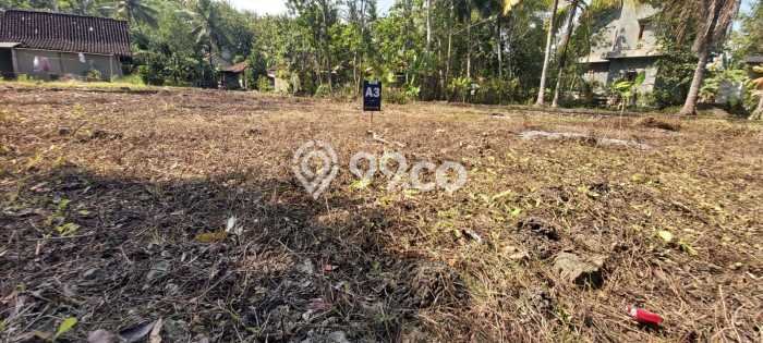 Tanah 1 Jutaan Wates Tepi Jalan Gotakan Cocok Untuk Investasi Tanah 1 Jutaan Wates Tepi Jalan Gotakan Cocok Untuk Investasi
