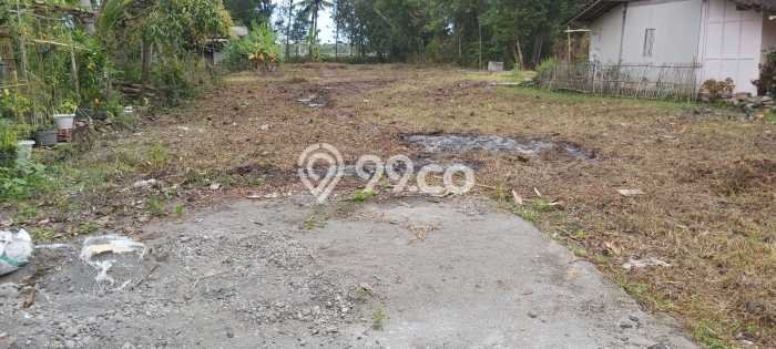 Tanah Jogja Dekat Bandara Yia Kulonprogo Shm Ready Tanah Jogja Dekat Bandara Yia Kulonprogo Shm Ready