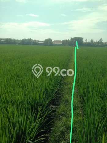 Jarang Ada! Tanah di Pedes Punya Luas 14685m2 SHM Jarang Ada! Tanah di Pedes Punya Luas 14685m2 SHM