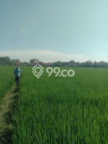 Jarang Ada! Tanah di Pedes Punya Luas 14685m2 SHM Jarang Ada! Tanah di Pedes Punya Luas 14685m2 SHM