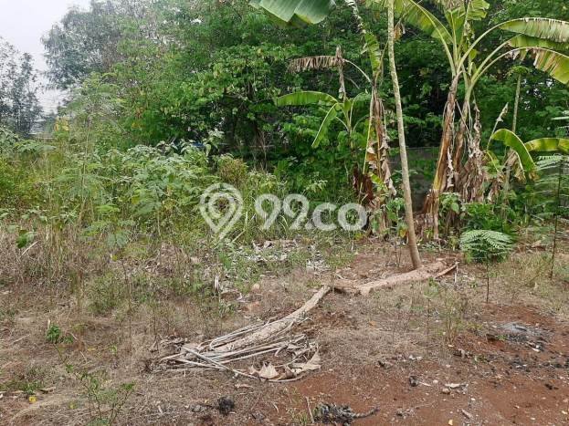Tanah Dijual Lokasi Cinere, Depok Luas 7383m2 Legalitas Aman Tanah Dijual Lokasi Cinere, Depok Luas 7383m2 Legalitas Aman