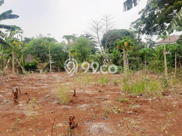 Tanah Dijual Lokasi Cinere, Depok Luas 7383m2 Legalitas Aman Tanah Dijual Lokasi Cinere, Depok Luas 7383m2 Legalitas Aman