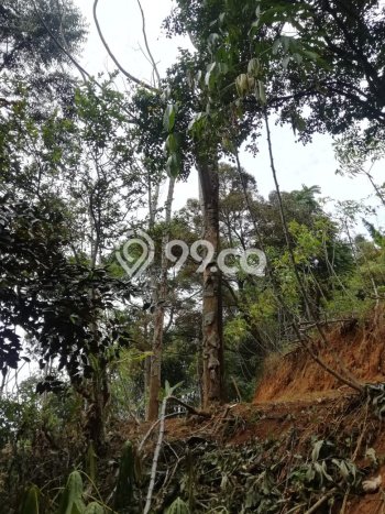 Tanah Siap Bangun Dijual di Bandung Punya Luas 1400m2 Tanah Siap Bangun Dijual di Bandung Punya Luas 1400m2