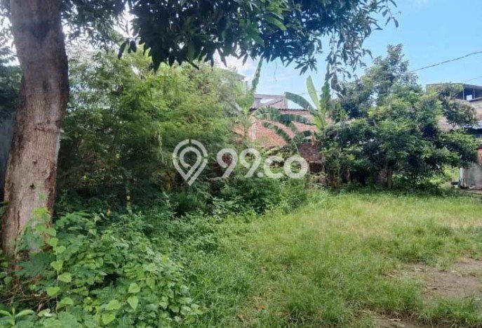 Lahan Investasi Lokasi Semarang Selatan Semarang SHM Lahan Investasi Lokasi Semarang Selatan Semarang SHM