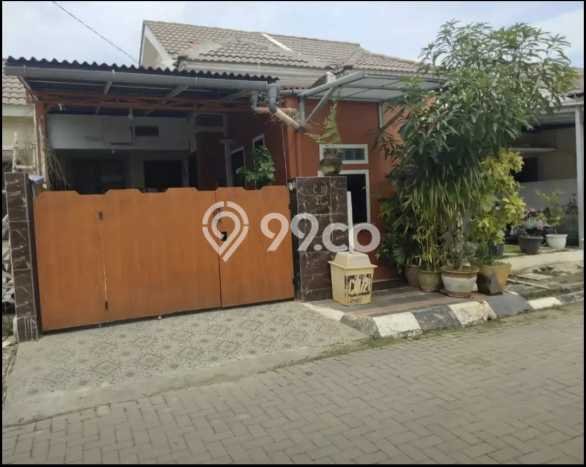 Jual Rumah Siap Huni di Parung Panjang Bogor Harga Rp 350 Juta LT 72m2 Jual Rumah Siap Huni di Parung Panjang Bogor Harga Rp 350 Juta LT 72m2