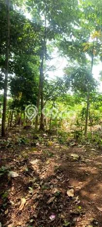 Tanah Komersial Dijual di Beji Depok 23000m2 Tanah Komersial Dijual di Beji Depok 23000m2